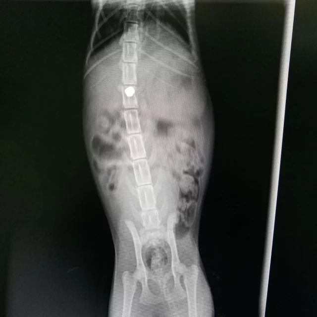 Feliana Instagram post