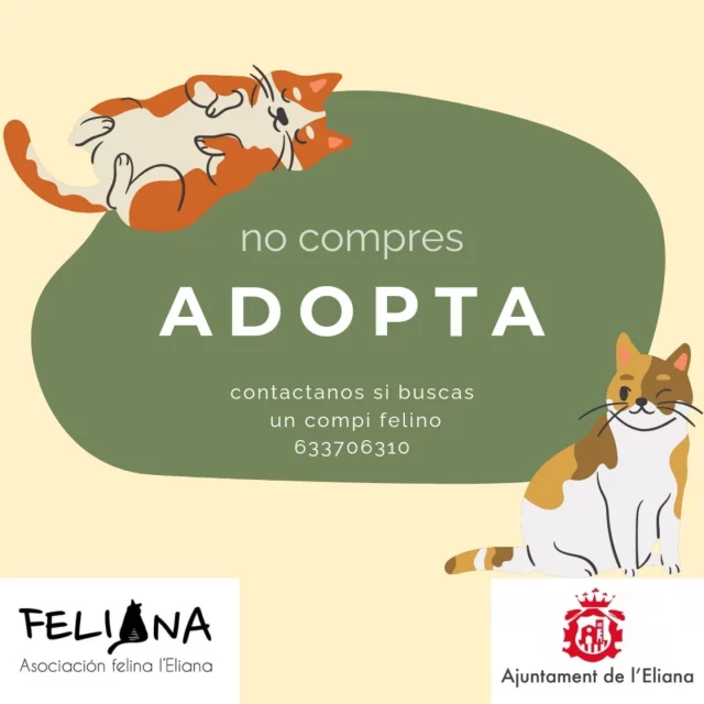 Feliana Instagram post