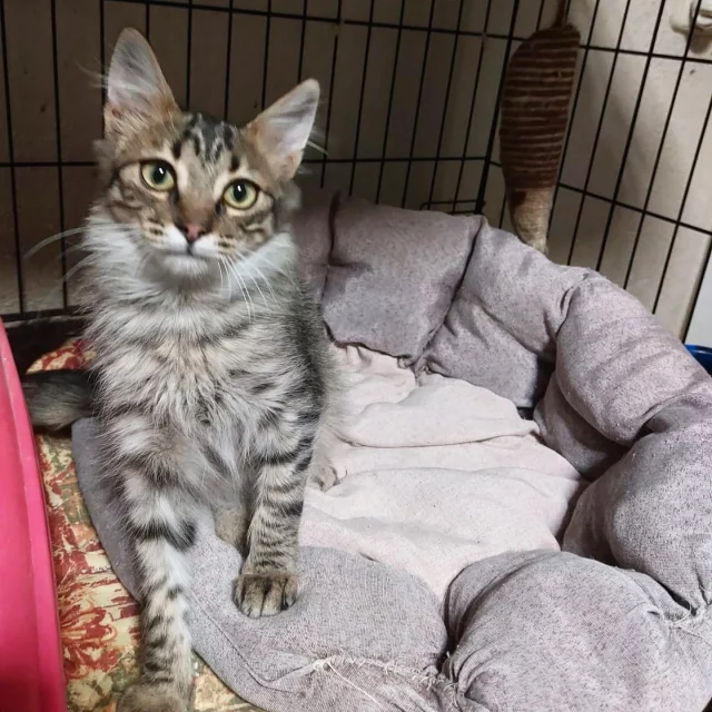 Feliana Instagram post